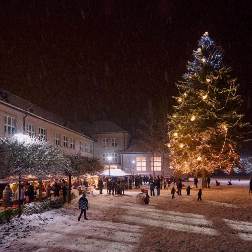 Rozsvícení vánočního stromu v Dolní Dobrouči
